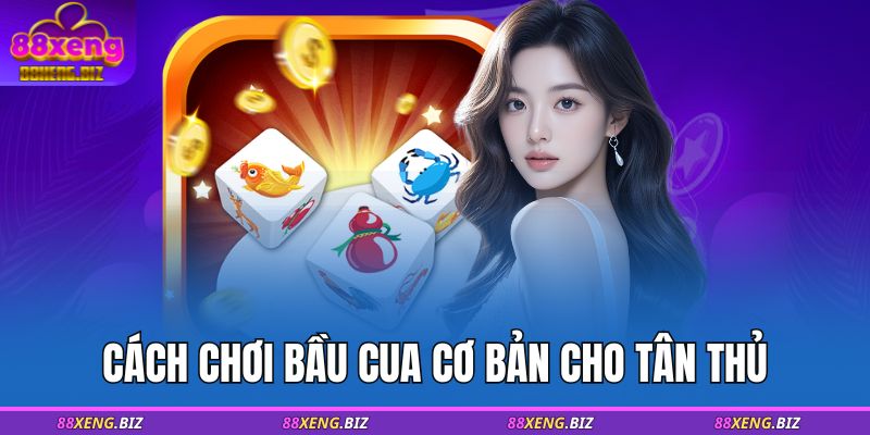Cách chơi bầu cua cơ bản cho tân thủ